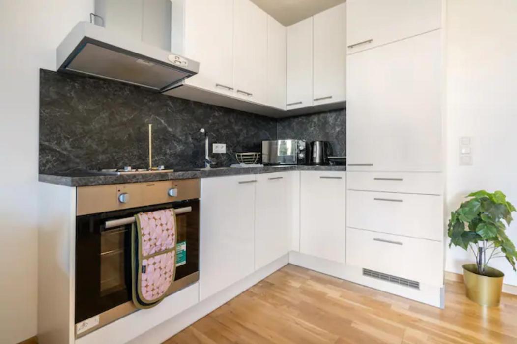Near Lake Fully Furnished Beautiful Apartment 维也纳 外观 照片