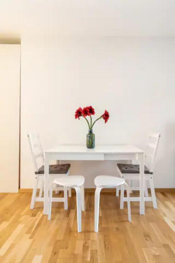 Near Lake Fully Furnished Beautiful Apartment 维也纳 外观 照片