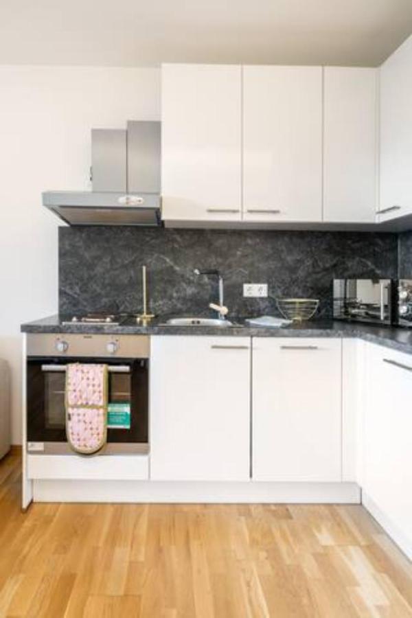 Near Lake Fully Furnished Beautiful Apartment 维也纳 外观 照片
