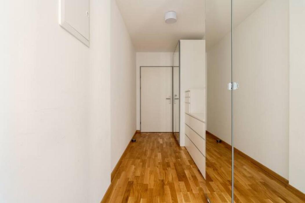 Near Lake Fully Furnished Beautiful Apartment 维也纳 外观 照片